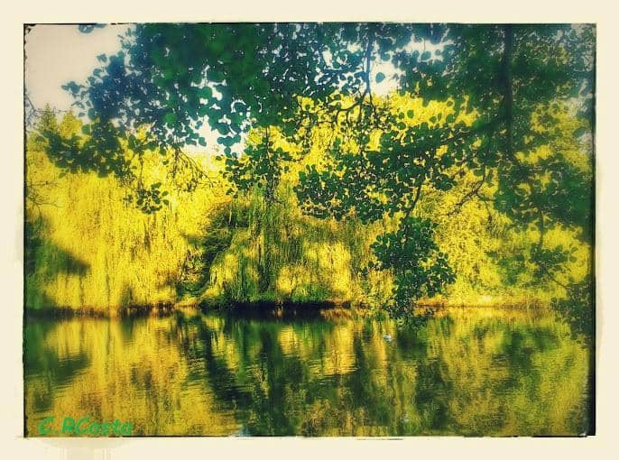 Malvern Park Gardens