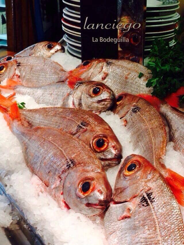 Exceptional Value & Service