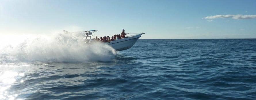 Underwater Wonderland