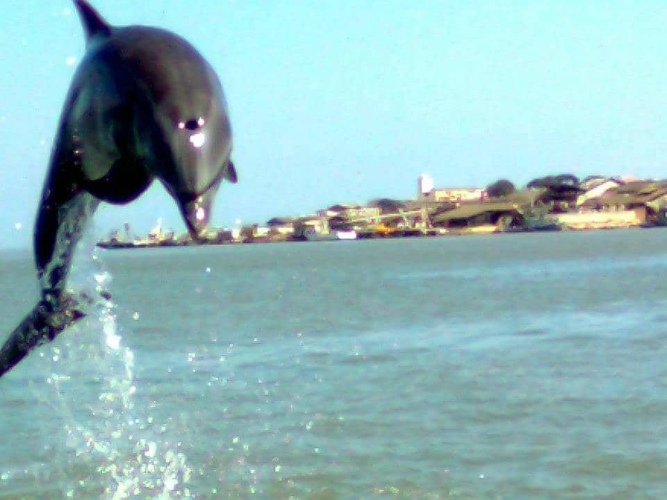 Panoramic Ocean Vistas