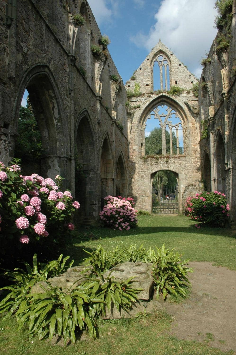Bay of Beauport Views