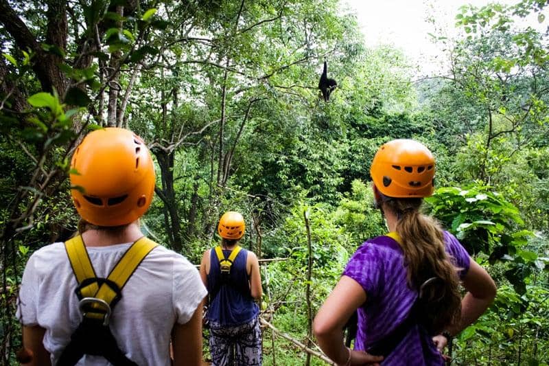 Epic Rainforest Ziplines