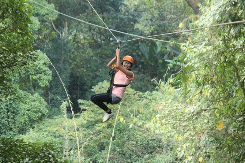 Jungle Luge Adventure
