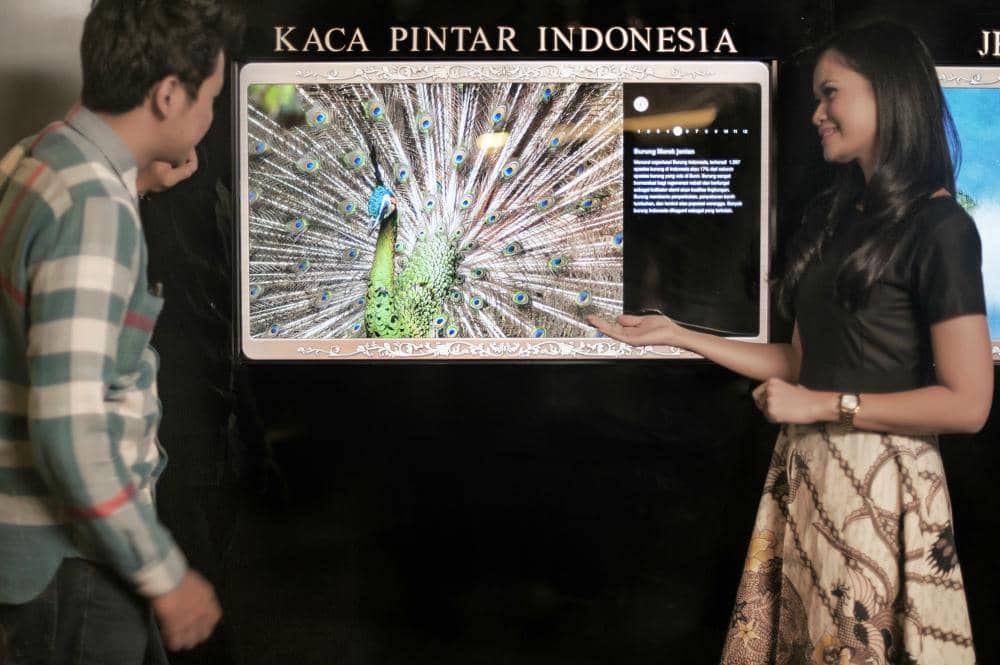 Street Food Delights