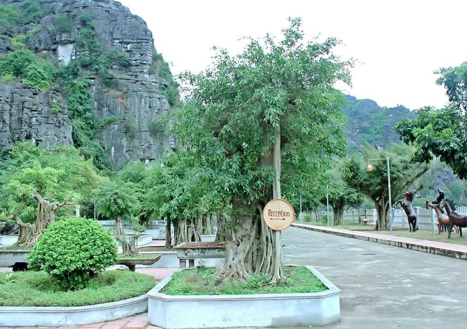 The Iconic Viewpoint