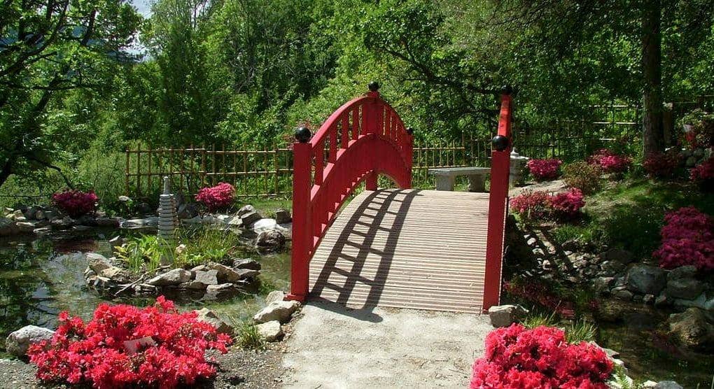 Japanese Garden Oasis