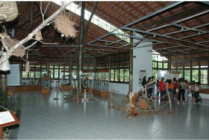 Natural History Museum