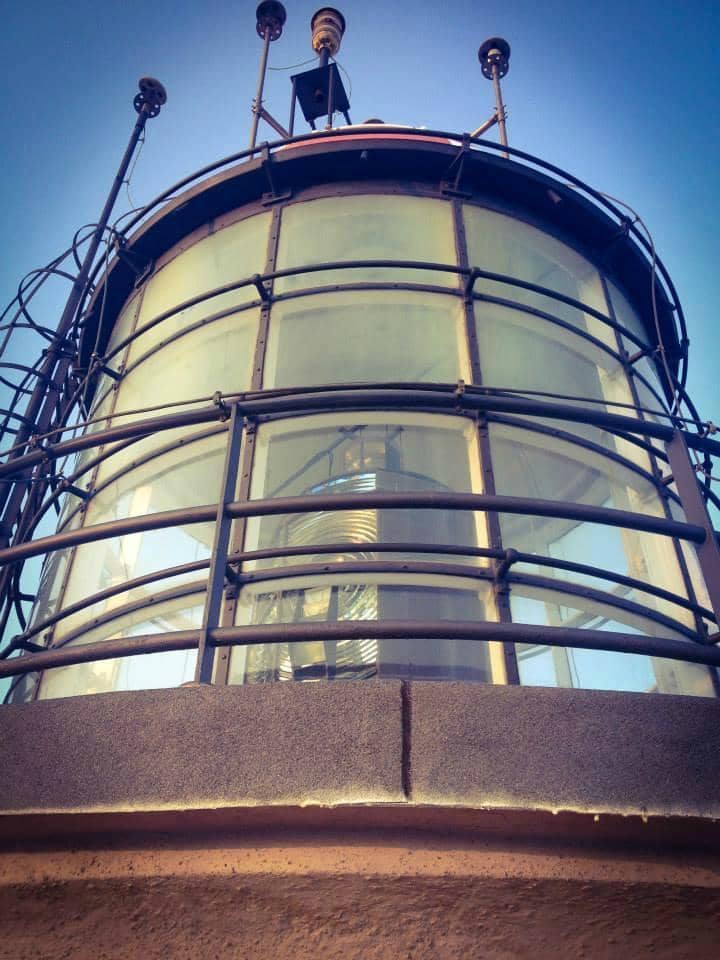 Surrounding Gardens & Park