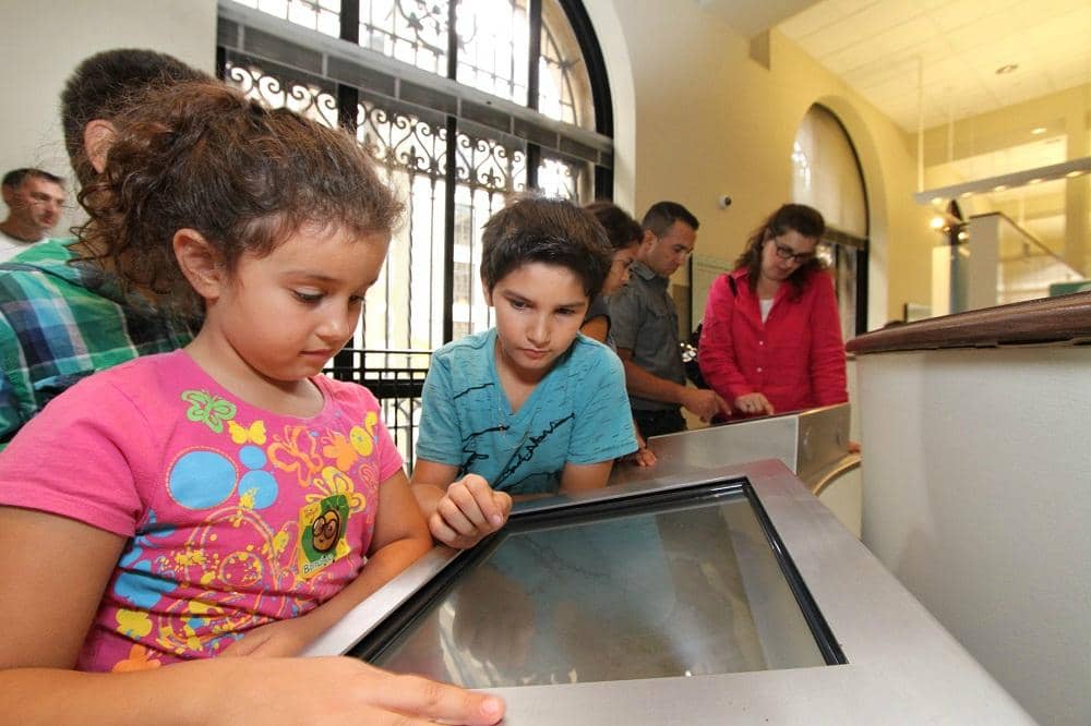 Interactive Economic Displays