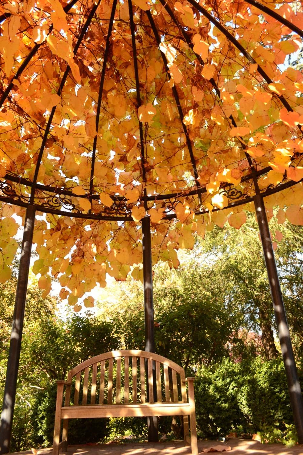 Seasonal Flower Displays