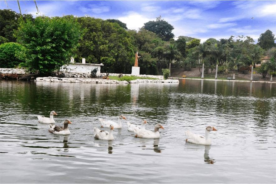 Family-Friendly Play Areas