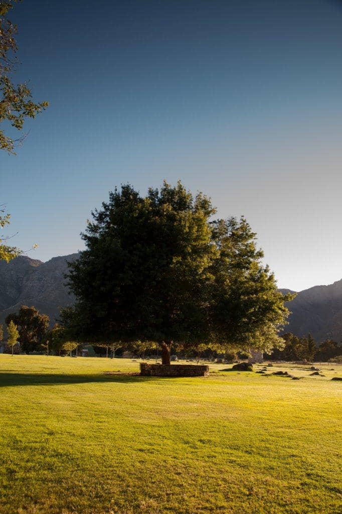 Wine Drive Safari