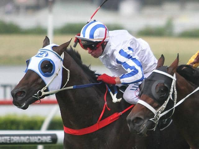 Trackside Buzz