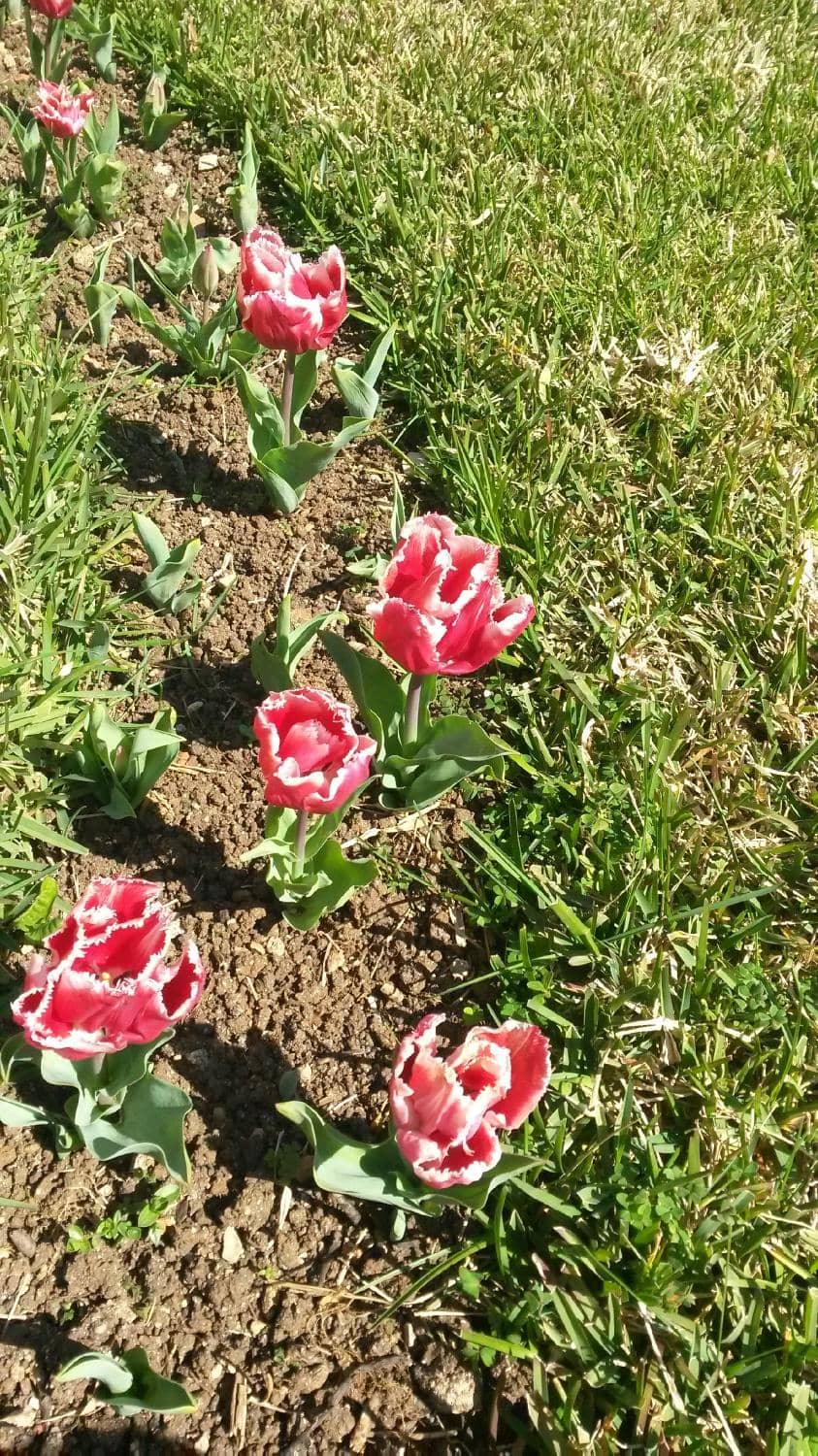 Baroque Art & Architecture