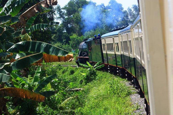 Vintage Steam Train Ride