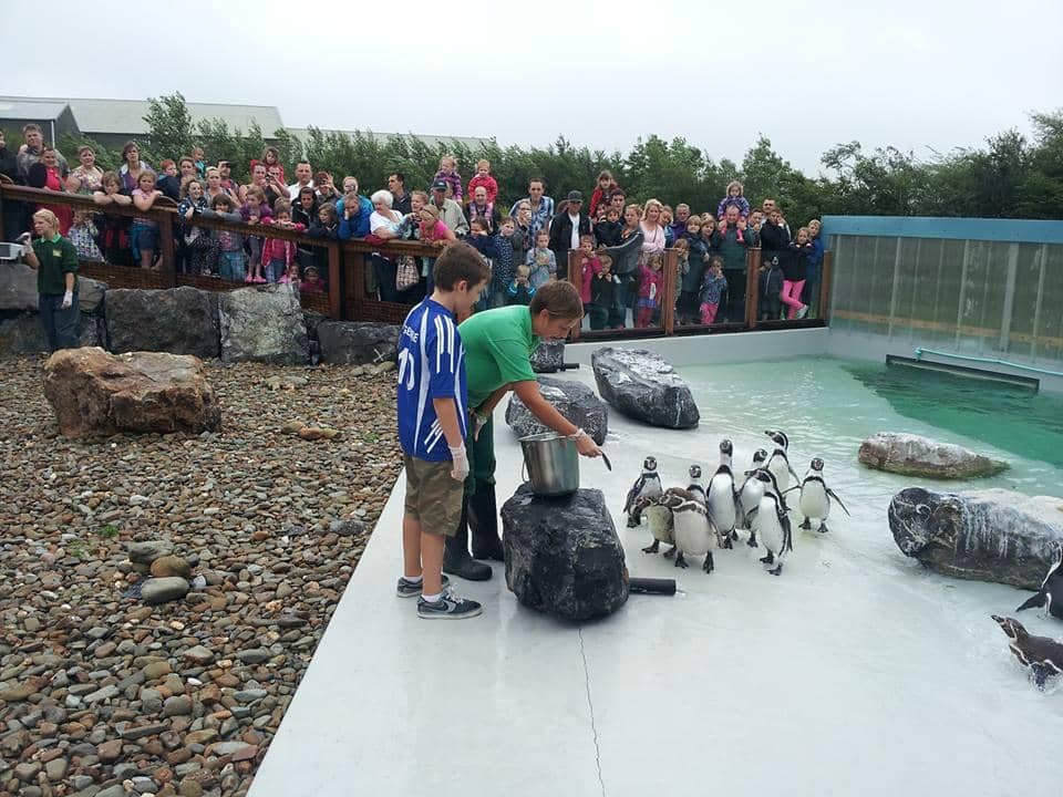Vintage Fairground Rides