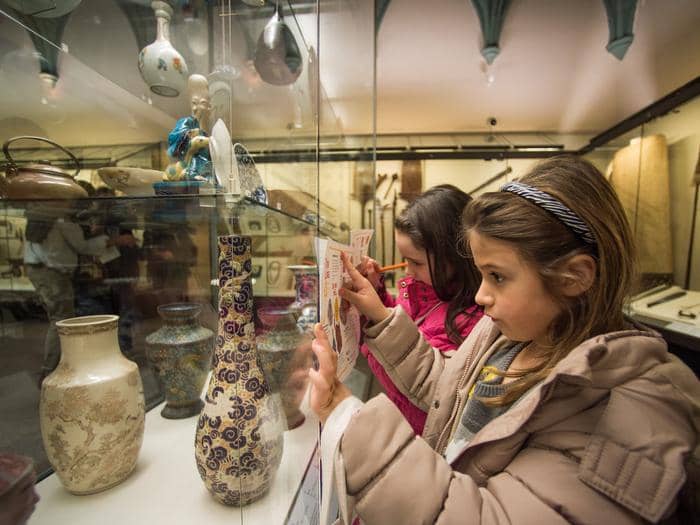 Taxidermy Collection