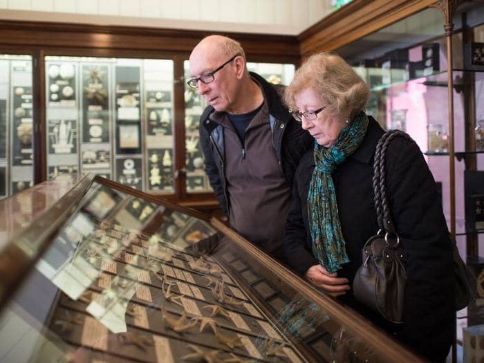 Art & Design Galleries