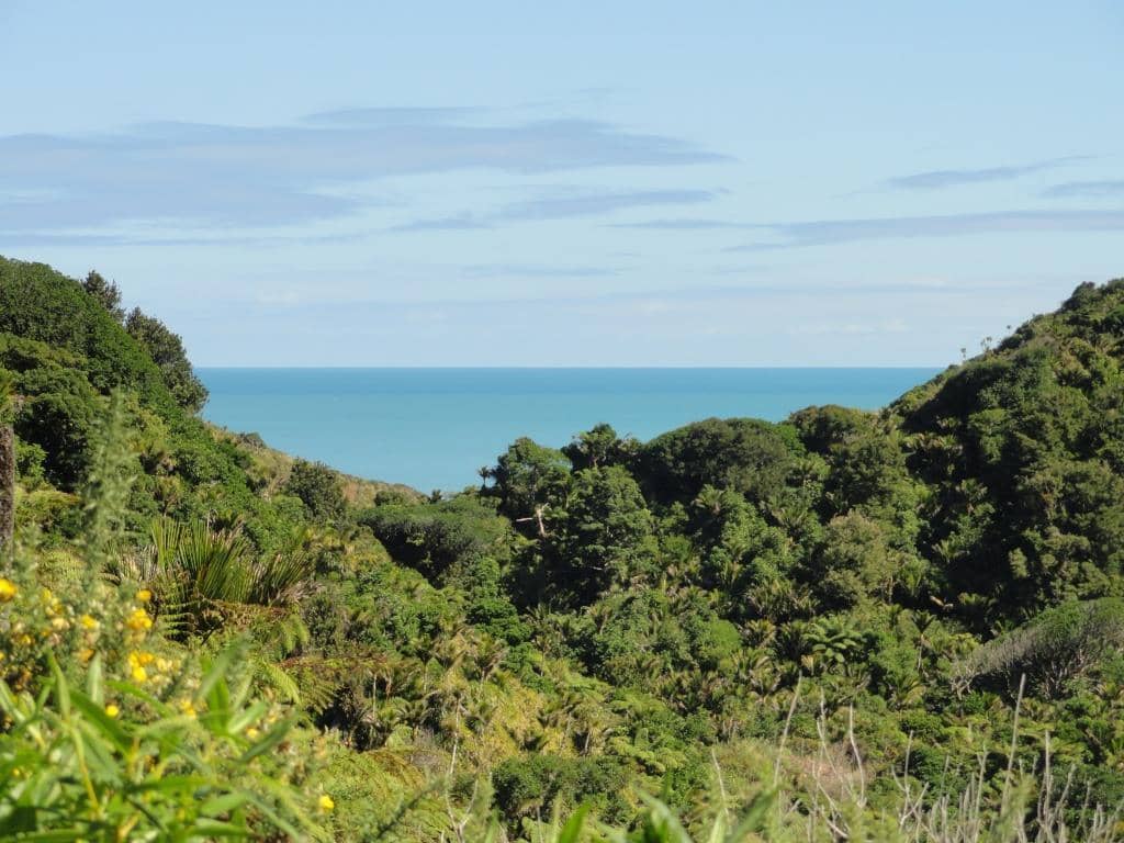 Charming Little Cave