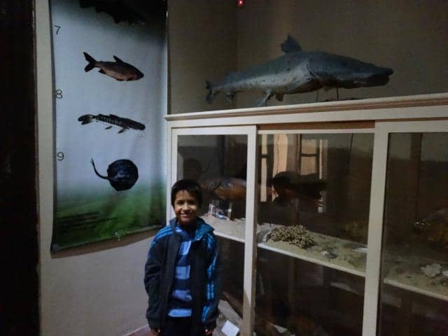 Well-Maintained and Clean Displays