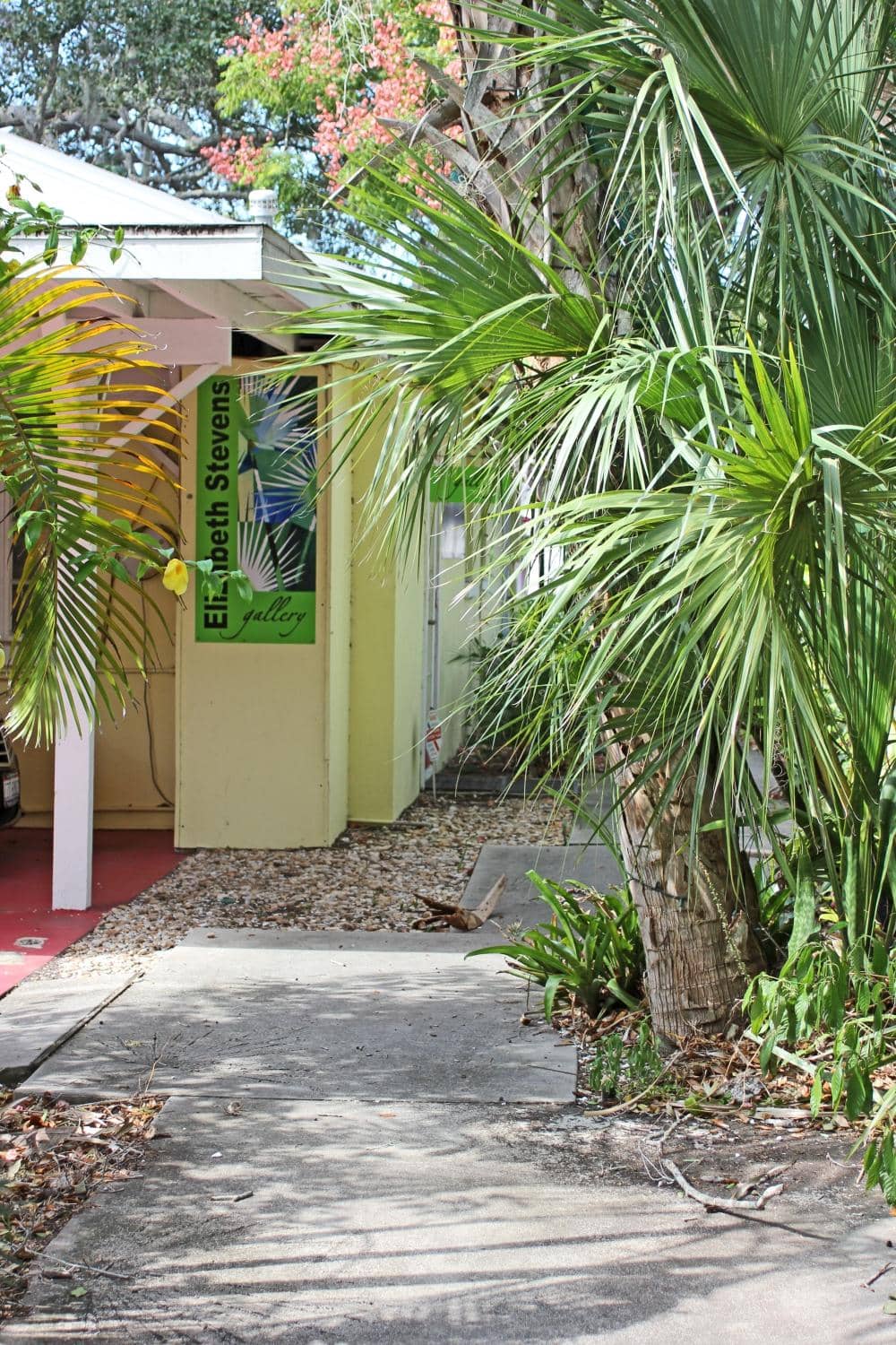 Erica's Serendipitous Satori