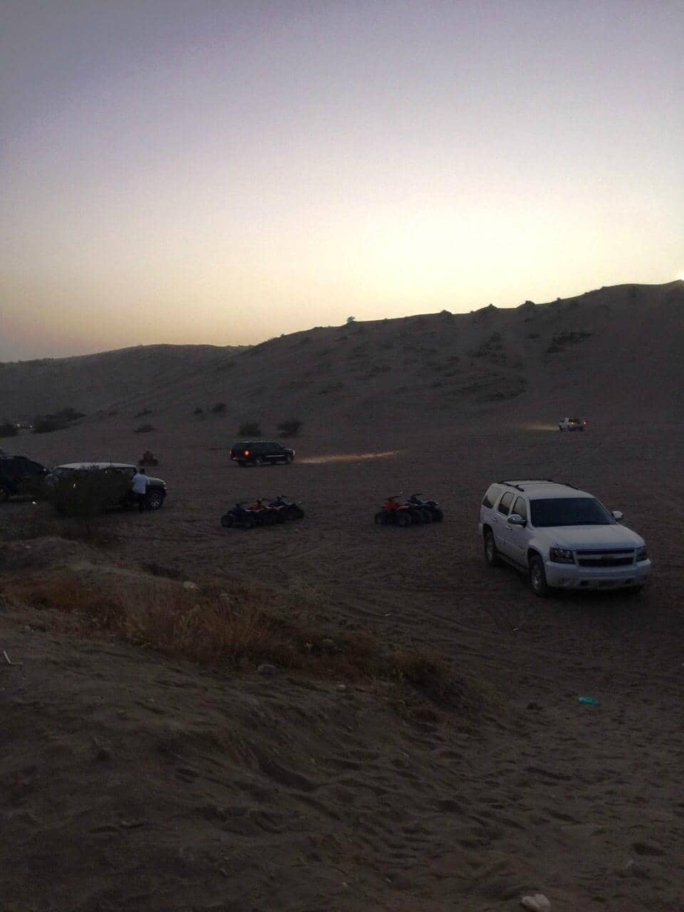 Tranquil Walking Paths