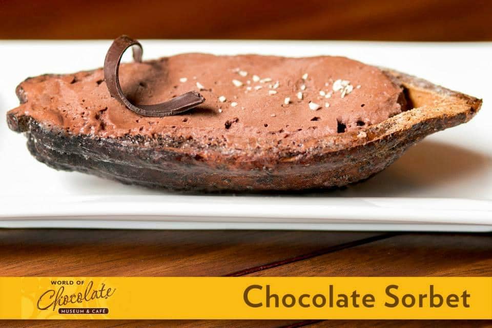 Interactive Chocolate Tour