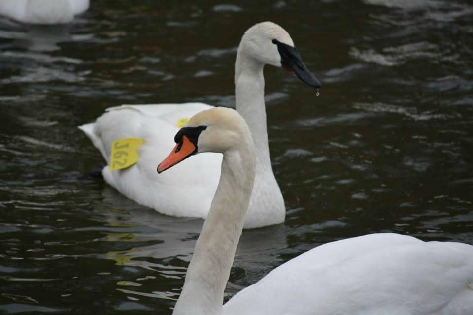 Adventure Playground