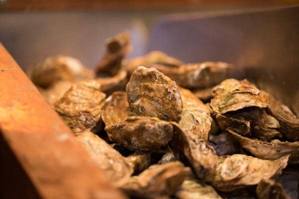 Oyster Bar Excellence