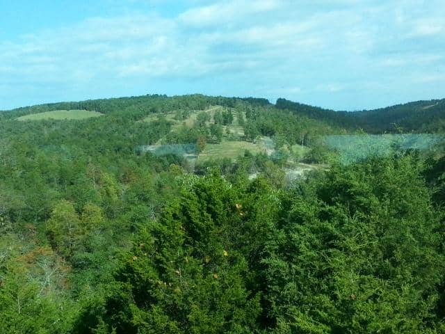 Polar Express (Seasonal)