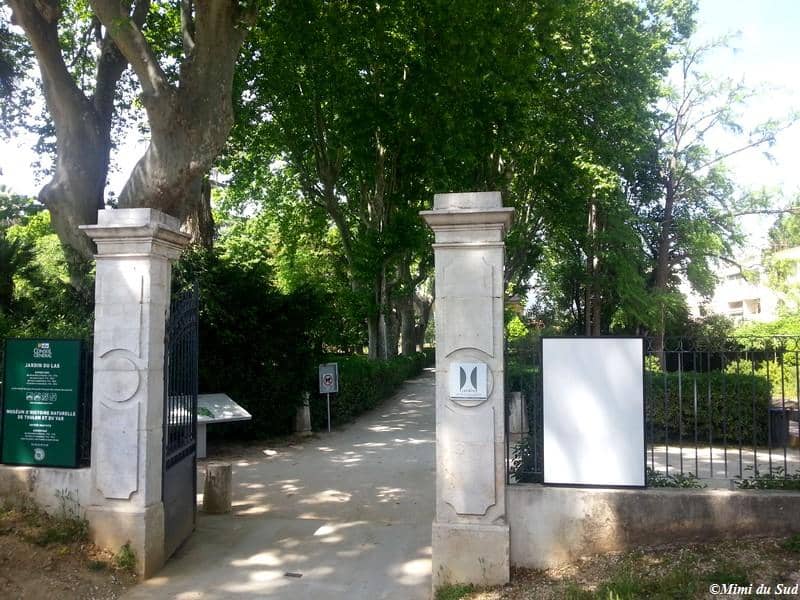 Exceptional Taxidermy