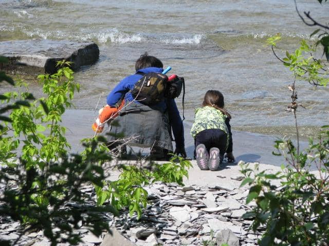 Georgian Trail Access