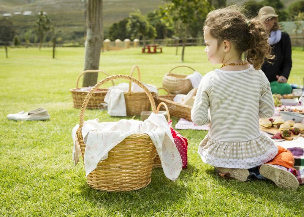 Scenic Farmstead Picnics
