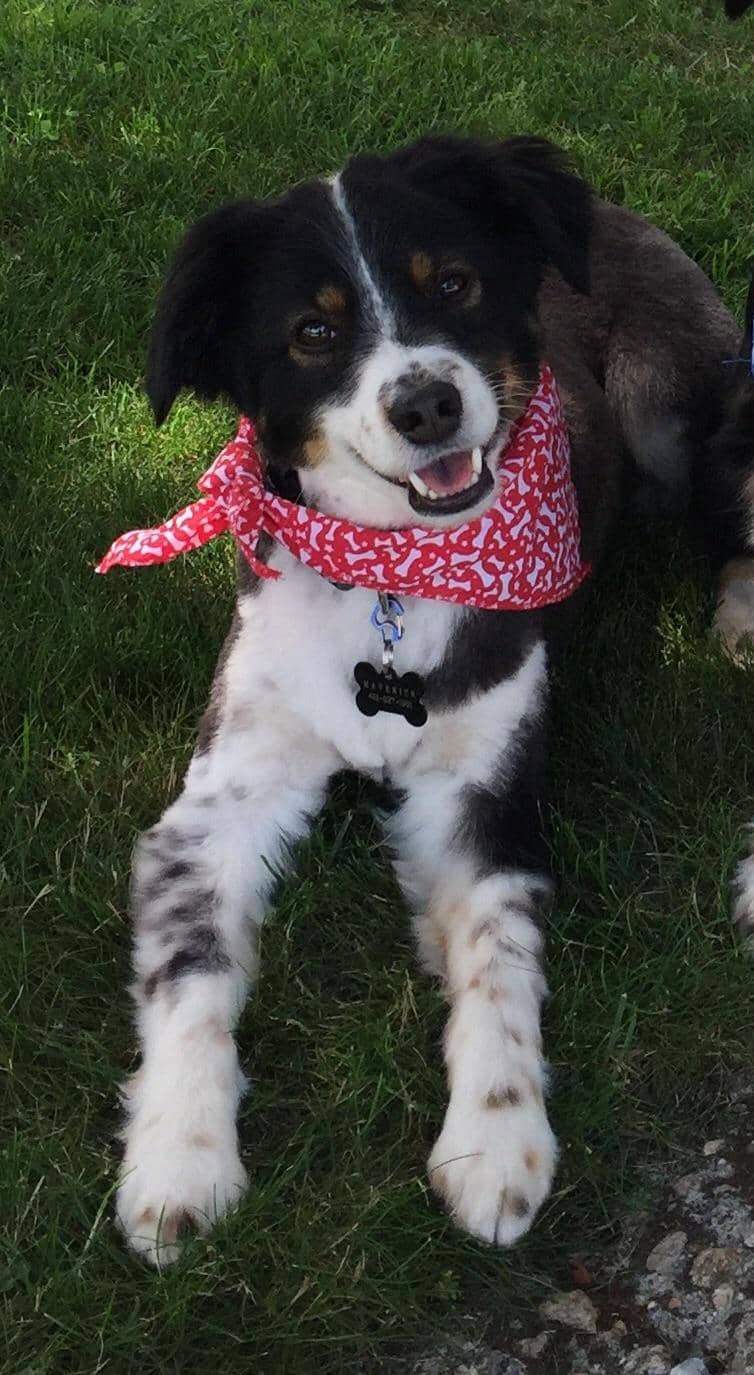 Metropolitan Cathedral of Christ the King