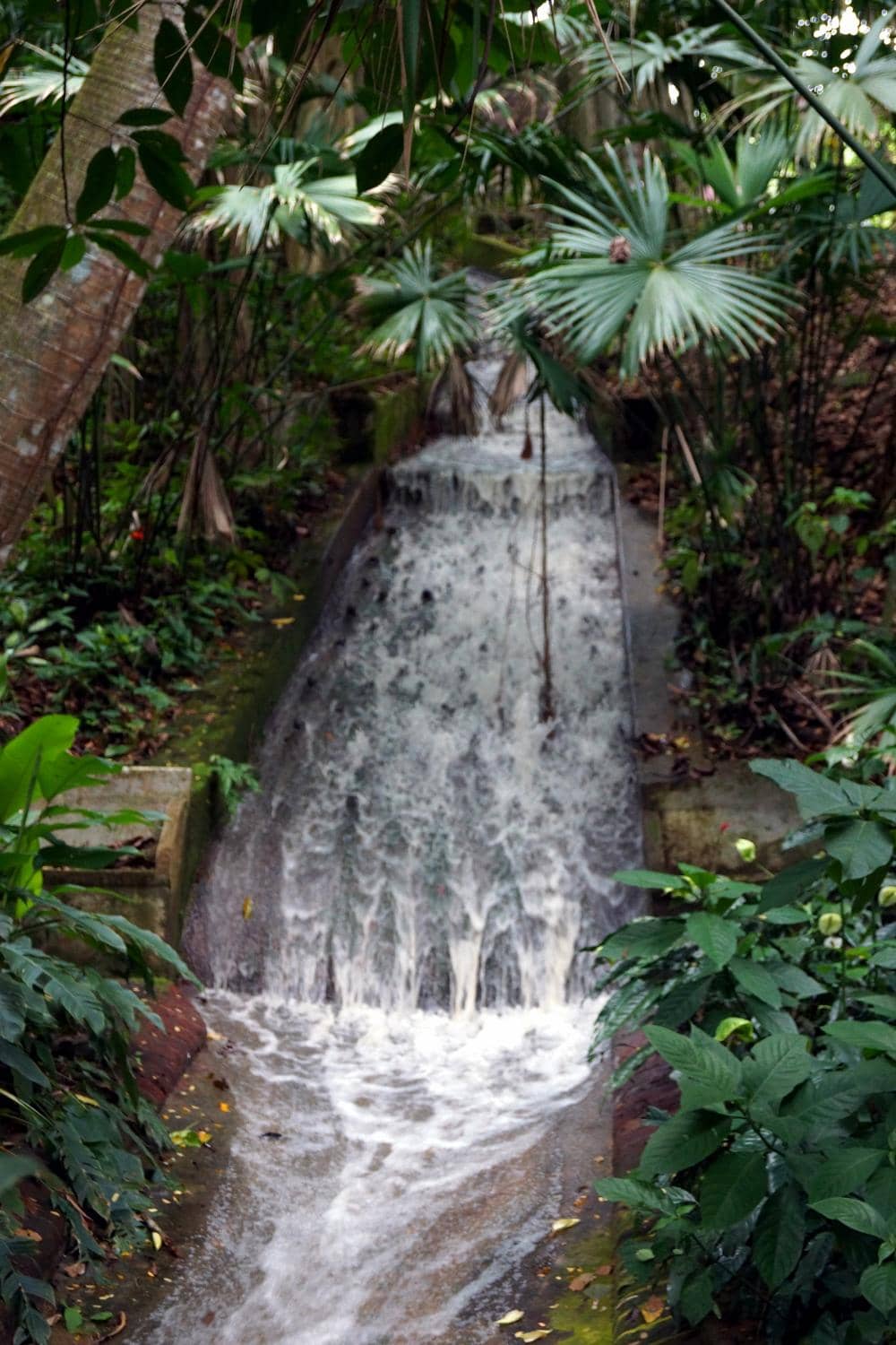 Coffee Tasting Experience