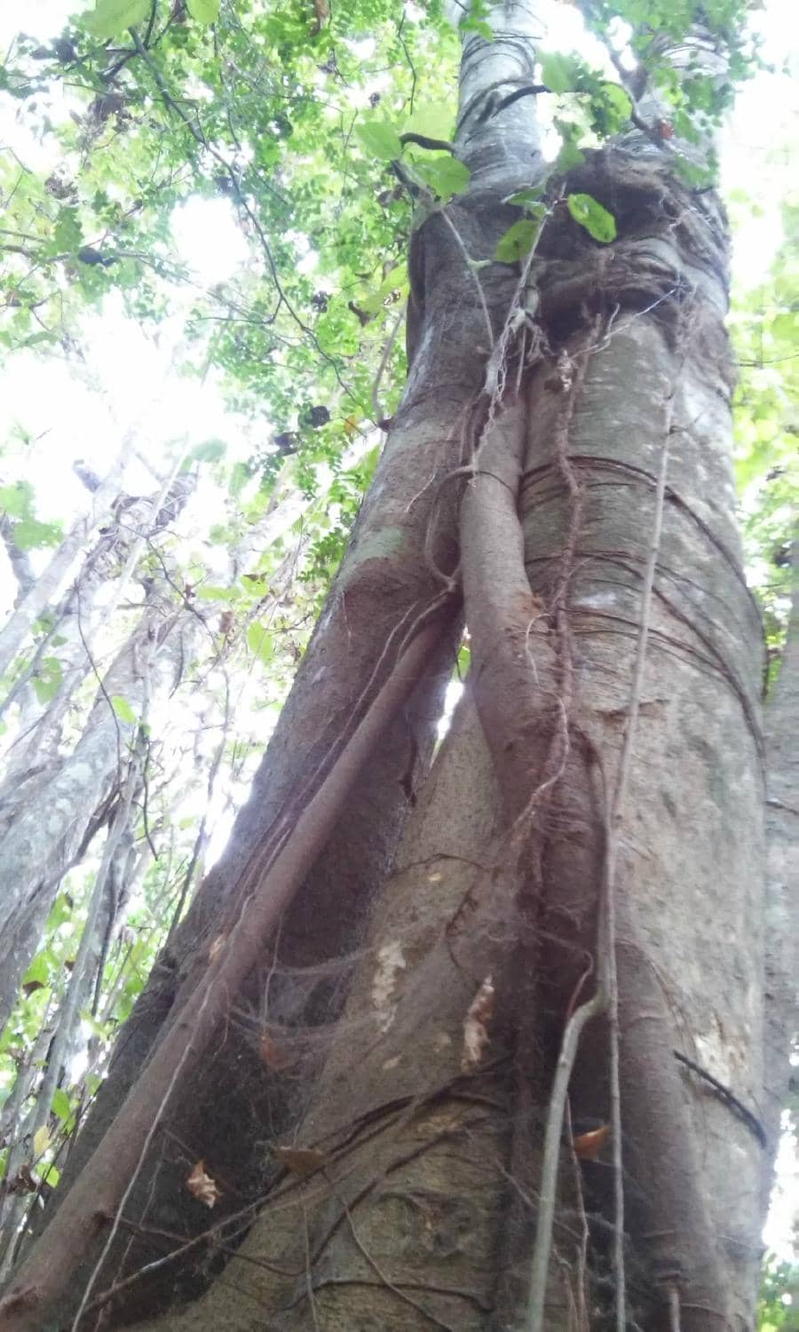 Birdwatching Paradise