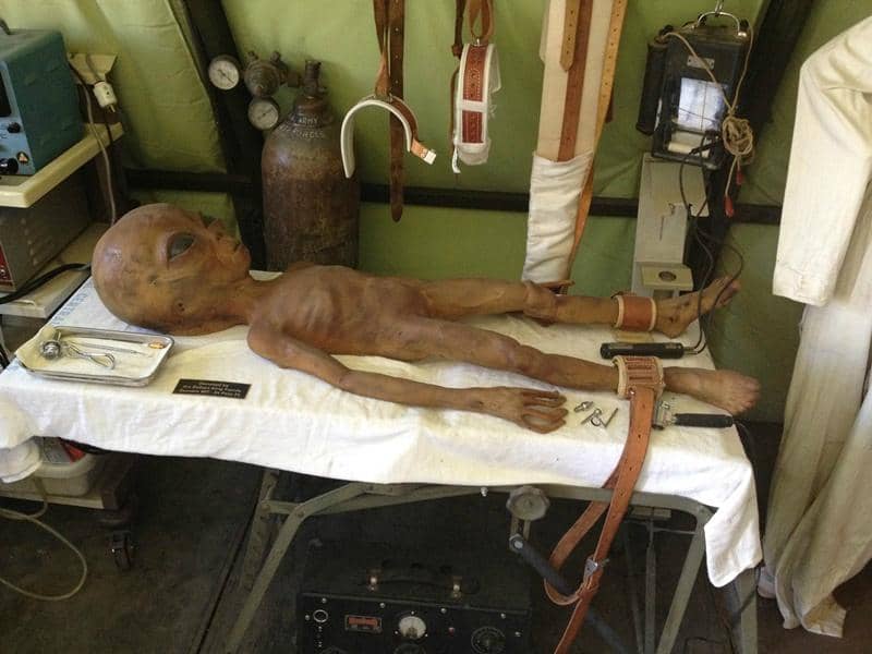 Interactive Exhibits