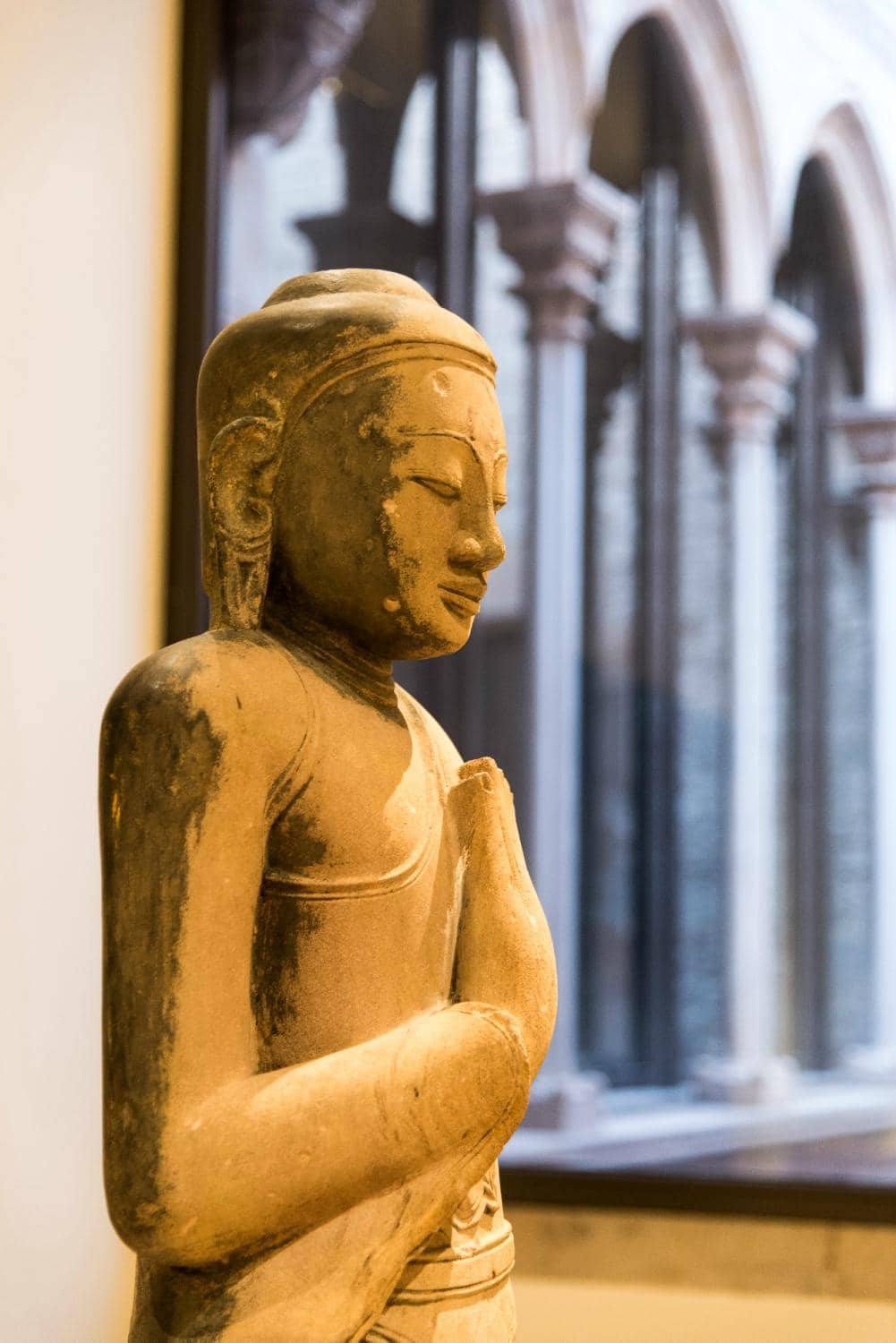 Taxidermy Fauna Collection