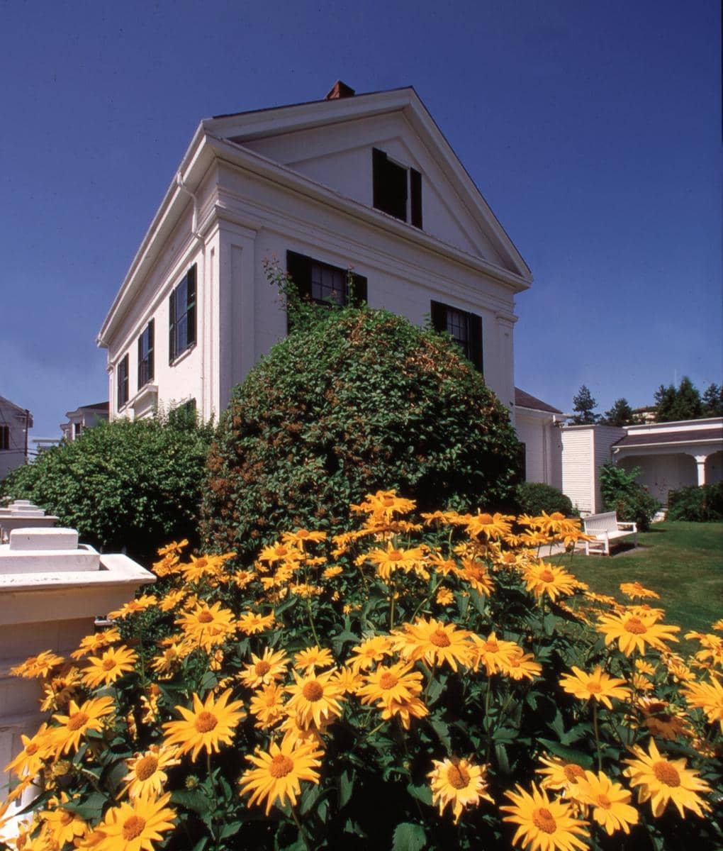 Contemporary Maine Artists