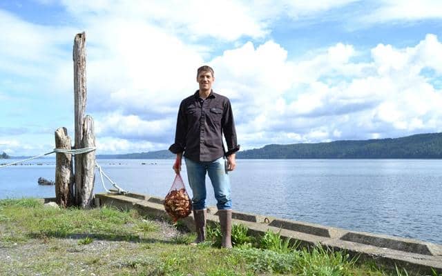 Unique A-frame Gazebos