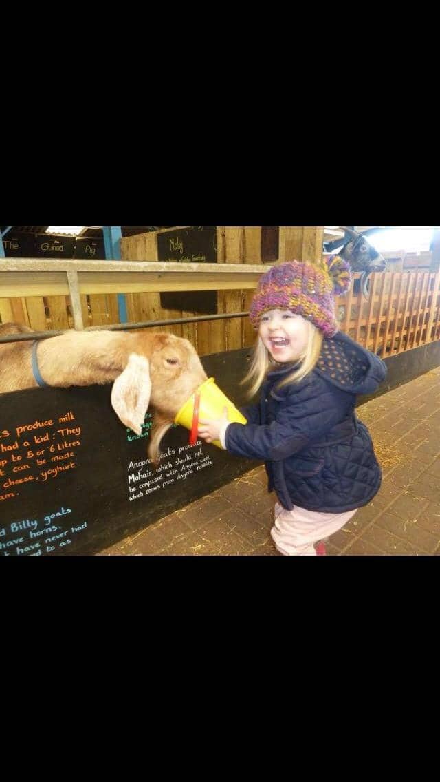 Arabia's Wildlife Centre