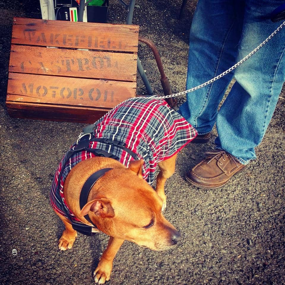 Community Market Vibe