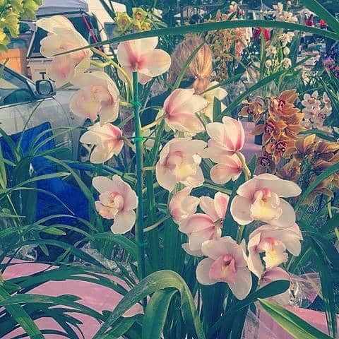 International Food Delights