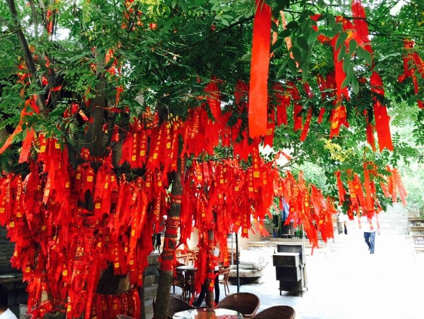 Lantern-Lit Evenings