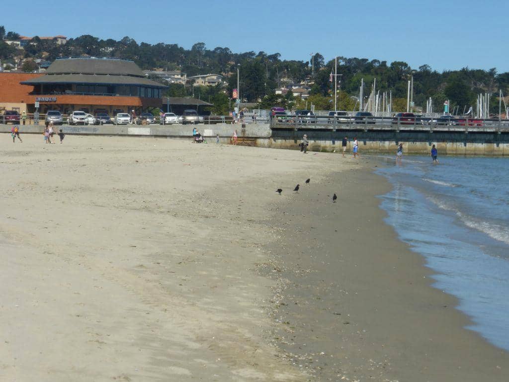 Sunrise and Moonlit Evenings