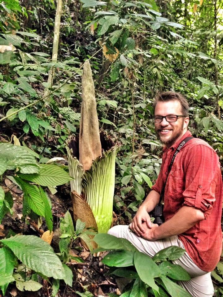 Orangutan Encounters