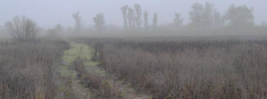 Seasonal Transformations