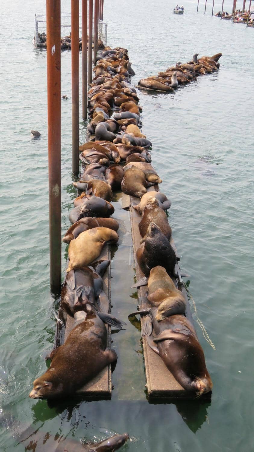 Astoria Riverfront Trolley