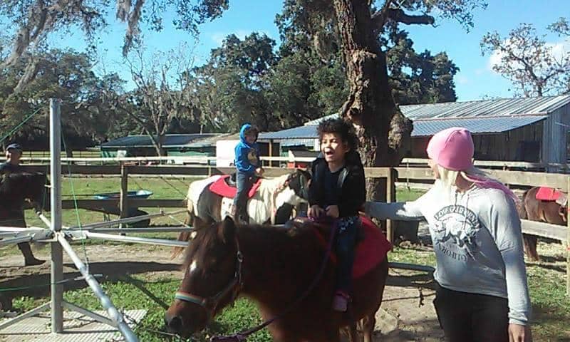 Farm Animal Encounters