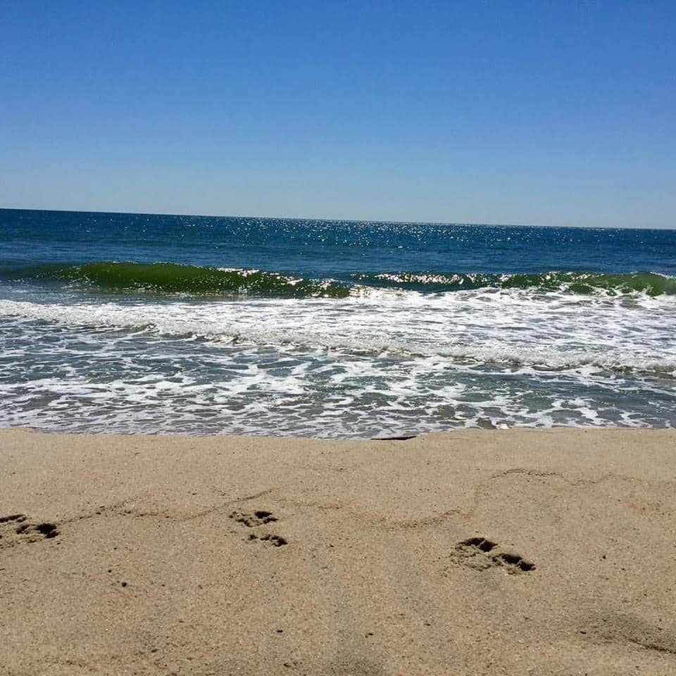 Sunrise and Sunset Views